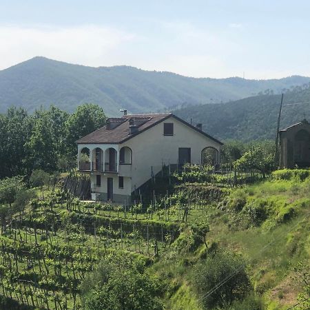 Villa Elena Mezzanego Ngoại thất bức ảnh