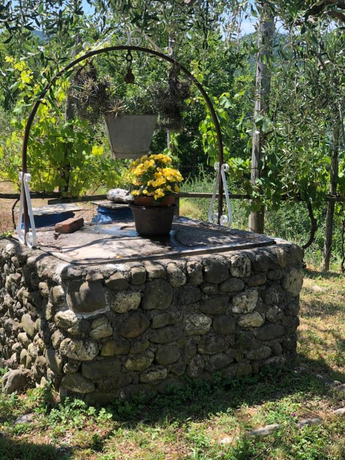 Villa Elena Mezzanego Ngoại thất bức ảnh